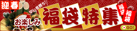 2010_fukubukuro_480x110